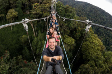 nyungwe canopy walkway, nyungwe national park, chimpanzee tracking in rwanda, chimp tracking in nyungwe, nyungwe chimpanzees, rwanda chimp tracking, nyungwe forest, nyungwe forest national park, nyungwe canopy walkway, canopy walk in nyungwe, nyungwe canopy tour, [nyungwe national park],"nyungwe", national park, waterfalls in nyungwe national park, canopy walkway rwanda, nyungwe, chimp tracking rwanda, nyungwe park, nyungwe national park, chimpanzee tracking