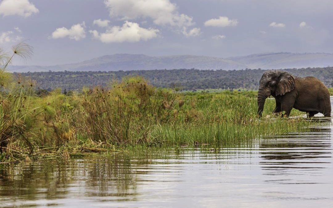 Boat Rides on Lake Ihema in Akagera National Park