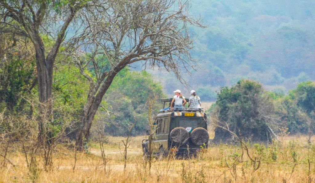 game drives in akagera national park