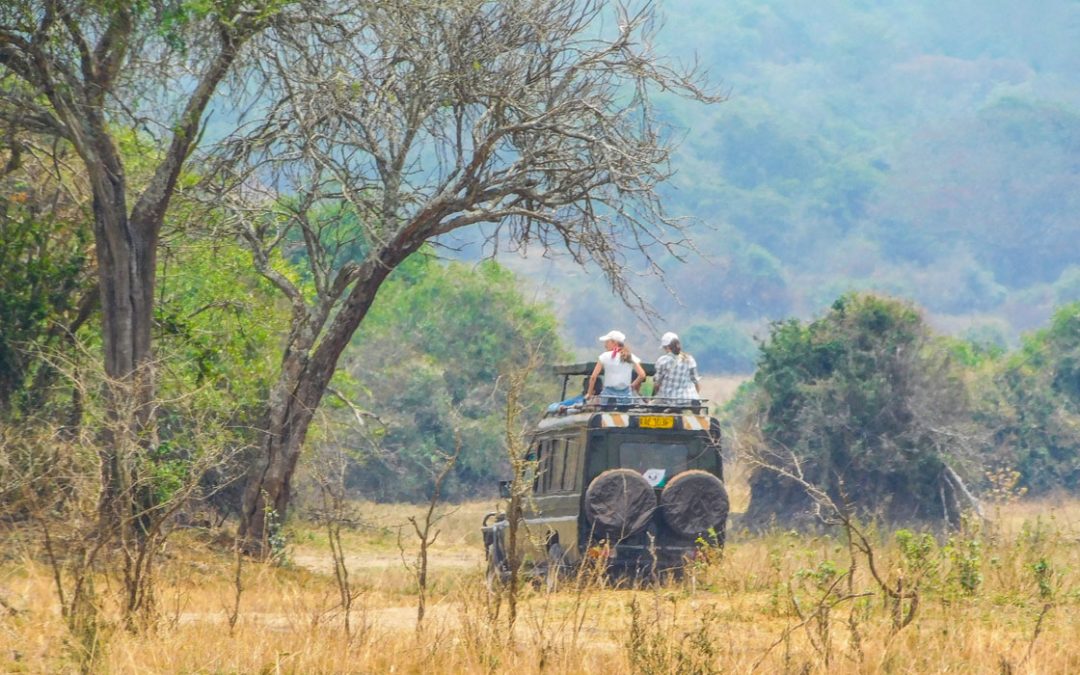 Cars to Hire for Akagera National Park Safari
