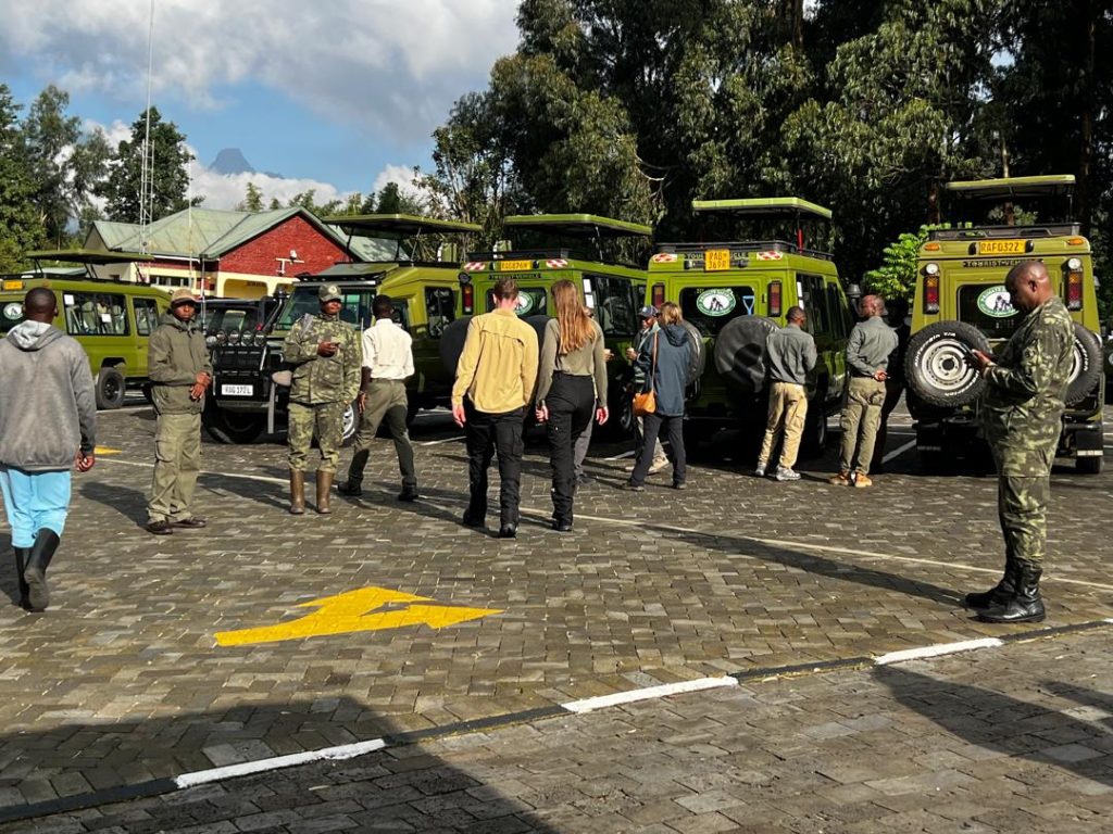 Gorilla Trekking Permits and Logistics Assistance in Rwanda