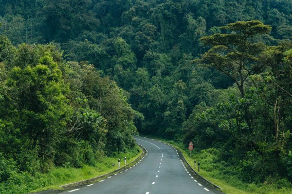 Nyungwe-Forest-national-park
