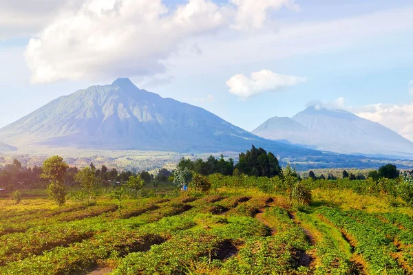 Virunga-Mountains-northwestern-Rwanda-Africa