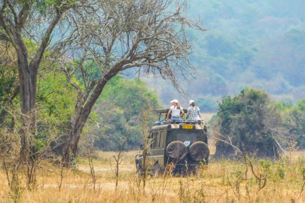 game drives in akagera national park